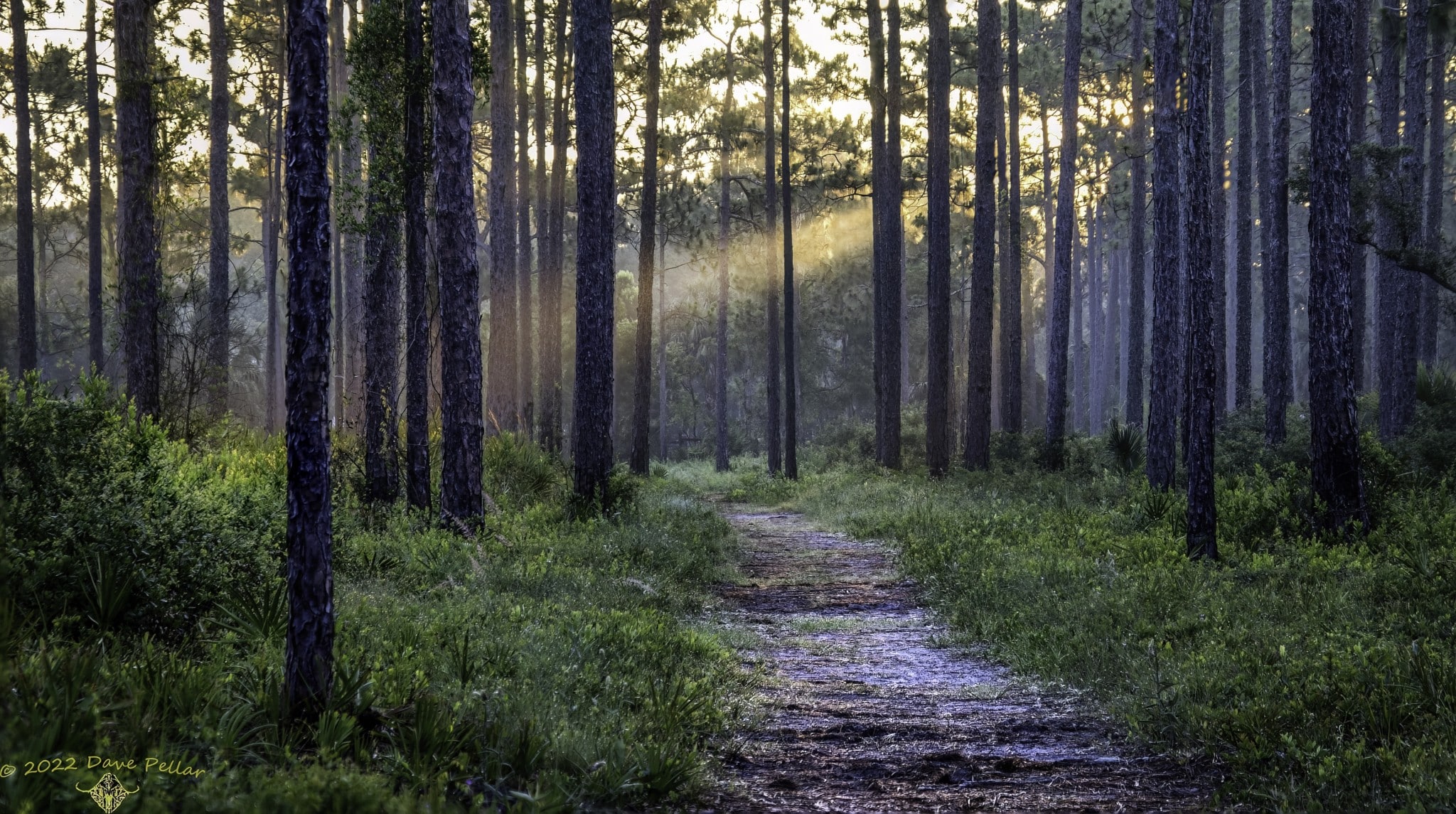 Bill to gut Seminole County rural boundary could apply outside of Central Florida